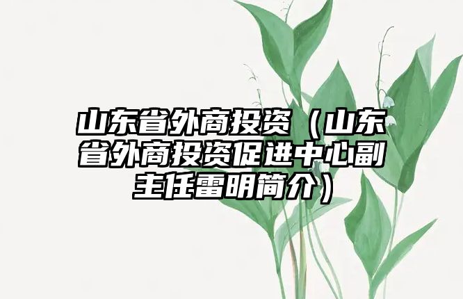 山東省外商投資（山東省外商投資促進中心副主任雷明簡介）