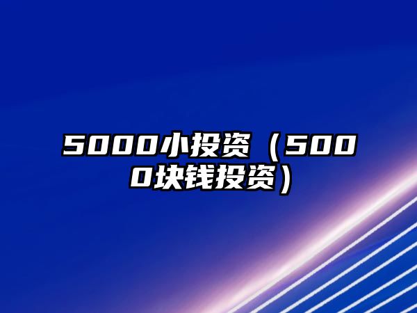 5000小投資（5000塊錢投資）