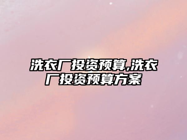 洗衣廠投資預(yù)算,洗衣廠投資預(yù)算方案