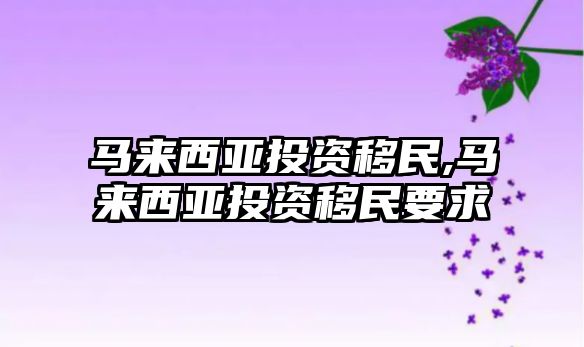 馬來西亞投資移民,馬來西亞投資移民要求