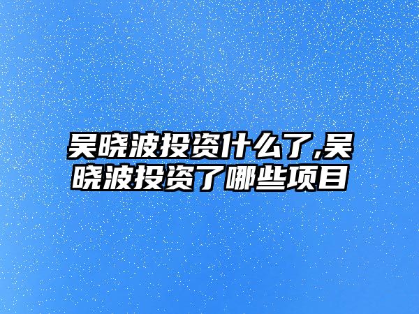 吳曉波投資什么了,吳曉波投資了哪些項目