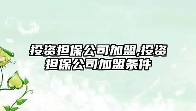 投資擔保公司加盟,投資擔保公司加盟條件