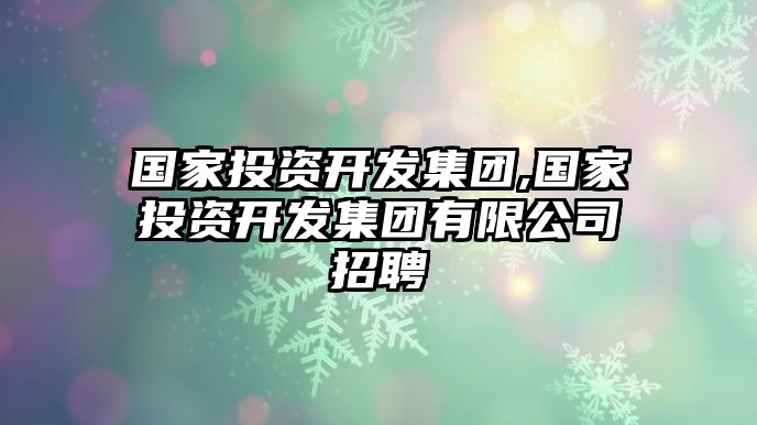 國(guó)家投資開發(fā)集團(tuán),國(guó)家投資開發(fā)集團(tuán)有限公司招聘