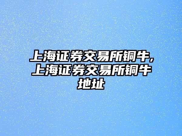 上海證券交易所銅牛,上海證券交易所銅牛地址