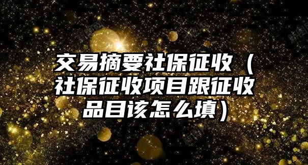 交易摘要社保征收（社保征收項(xiàng)目跟征收品目該怎么填）