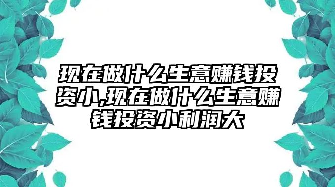 現(xiàn)在做什么生意賺錢投資小,現(xiàn)在做什么生意賺錢投資小利潤大