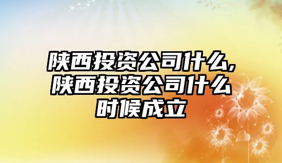 陜西投資公司什么,陜西投資公司什么時候成立