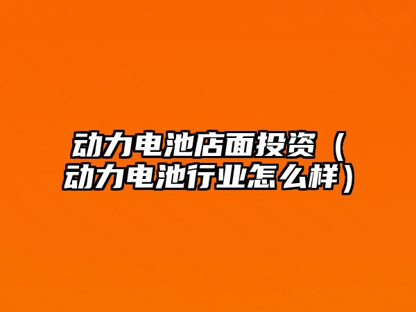 動力電池店面投資（動力電池行業(yè)怎么樣）