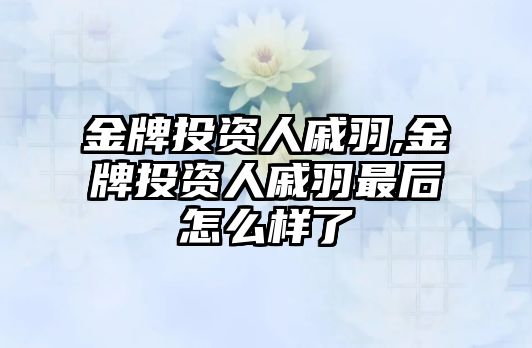 金牌投資人戚羽,金牌投資人戚羽最后怎么樣了