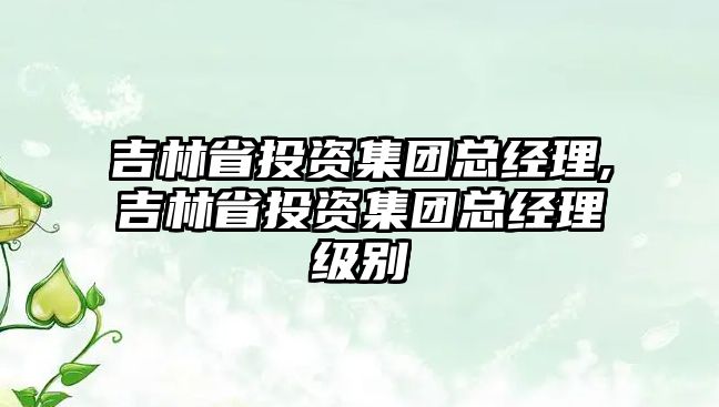 吉林省投資集團總經(jīng)理,吉林省投資集團總經(jīng)理級別