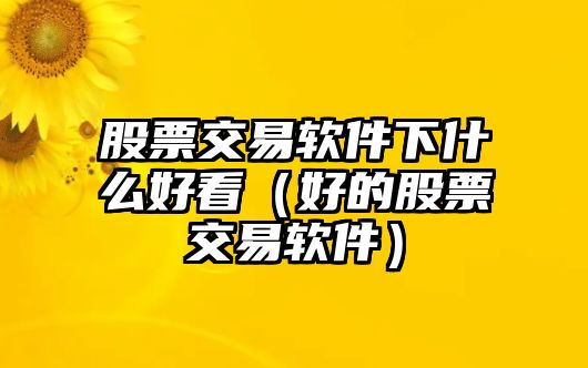 股票交易軟件下什么好看（好的股票交易軟件）