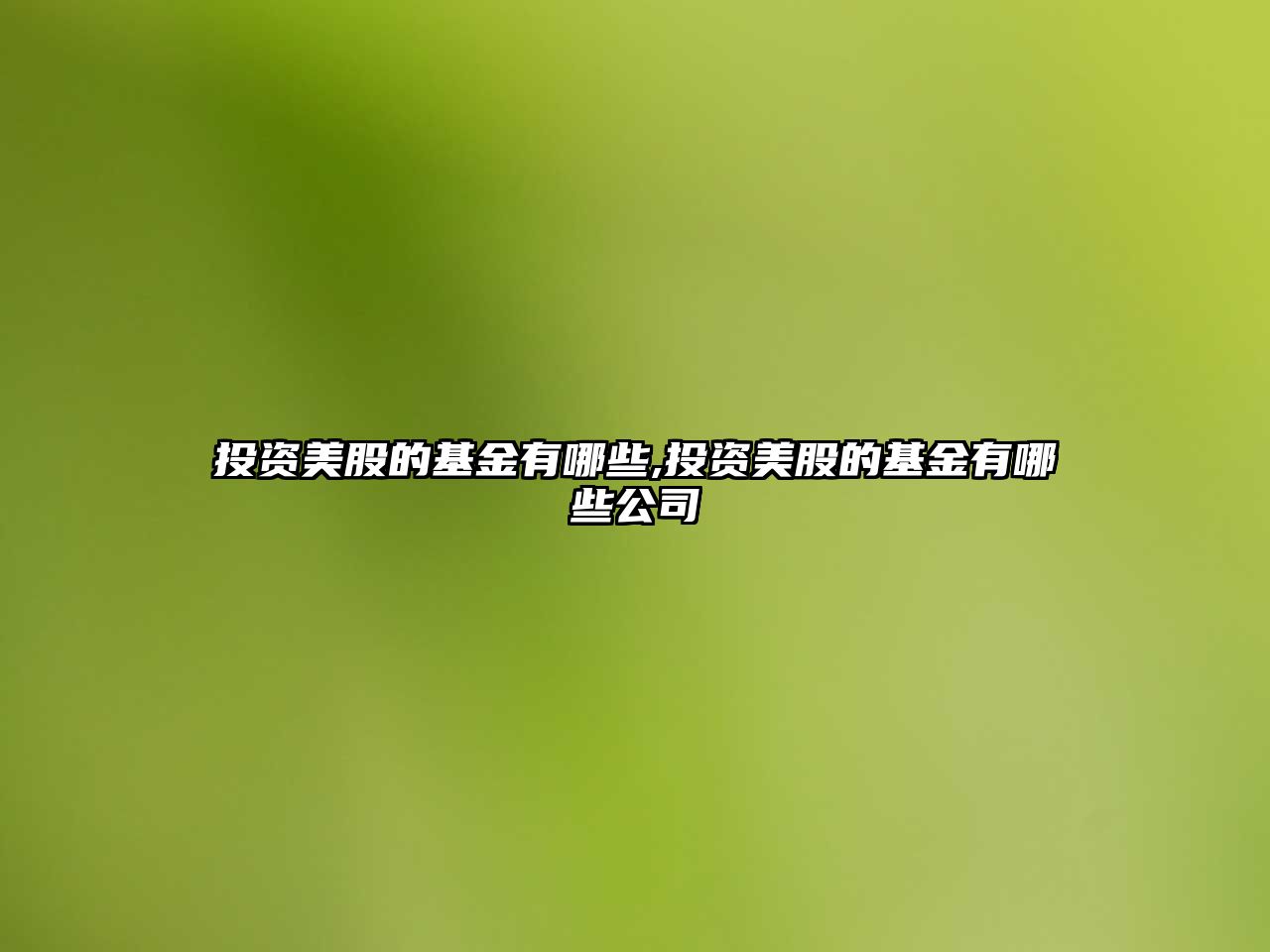 投資美股的基金有哪些,投資美股的基金有哪些公司