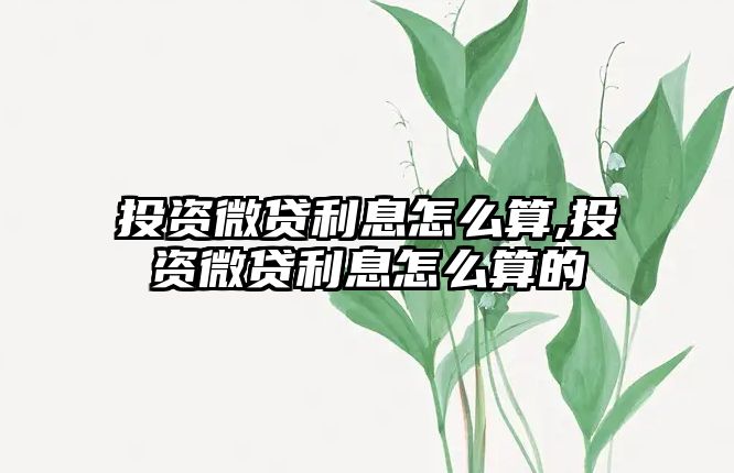 投資微貸利息怎么算,投資微貸利息怎么算的