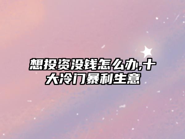 想投資沒錢怎么辦,十大冷門暴利生意