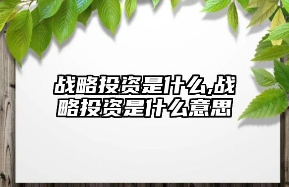 戰(zhàn)略投資是什么,戰(zhàn)略投資是什么意思