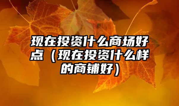 現(xiàn)在投資什么商場好點（現(xiàn)在投資什么樣的商鋪好）