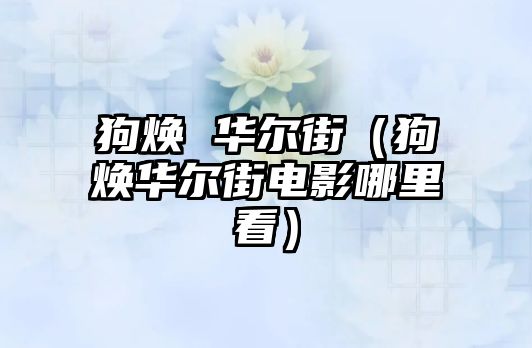 狗煥 華爾街（狗煥華爾街電影哪里看）