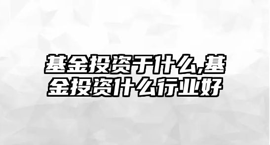 基金投資于什么,基金投資什么行業(yè)好