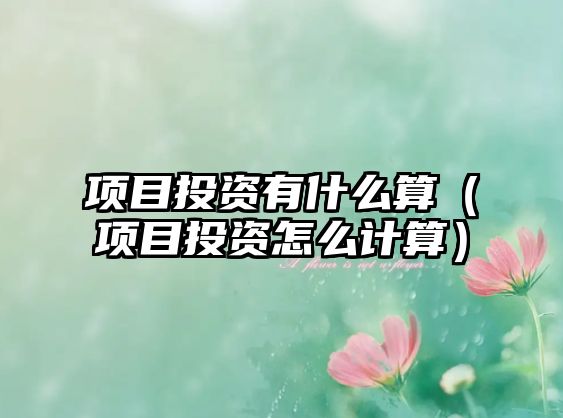 項(xiàng)目投資有什么算（項(xiàng)目投資怎么計(jì)算）