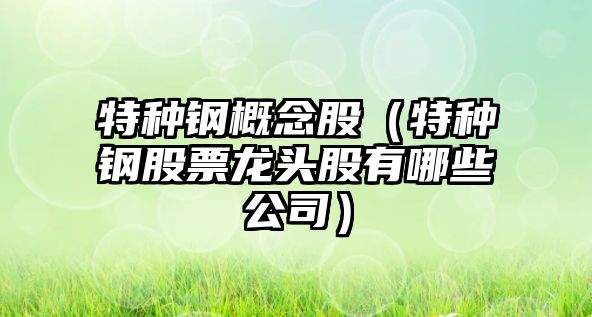 特種鋼概念股（特種鋼股票龍頭股有哪些公司）