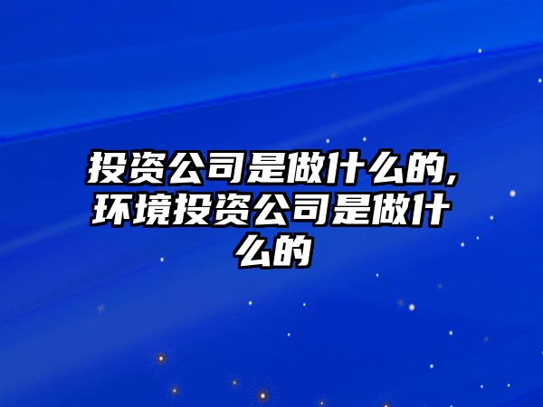 投資公司是做什么的,環(huán)境投資公司是做什么的