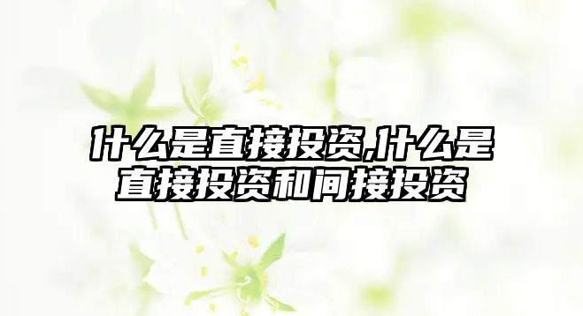 什么是直接投資,什么是直接投資和間接投資