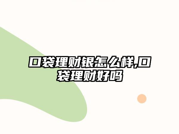 口袋理財(cái)銀怎么樣,口袋理財(cái)好嗎