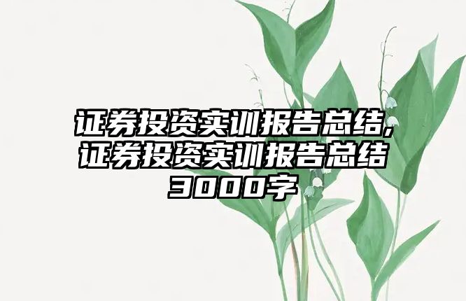 證券投資實訓報告總結(jié),證券投資實訓報告總結(jié)3000字