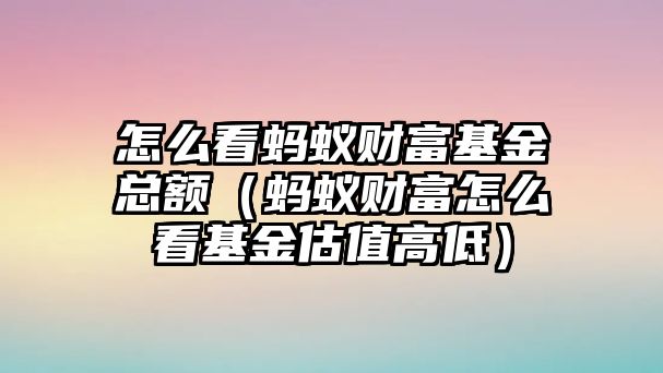 怎么看螞蟻財(cái)富基金總額（螞蟻財(cái)富怎么看基金估值高低）