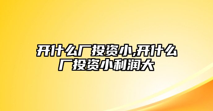 開什么廠投資小,開什么廠投資小利潤大