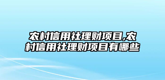 農(nóng)村信用社理財(cái)項(xiàng)目,農(nóng)村信用社理財(cái)項(xiàng)目有哪些