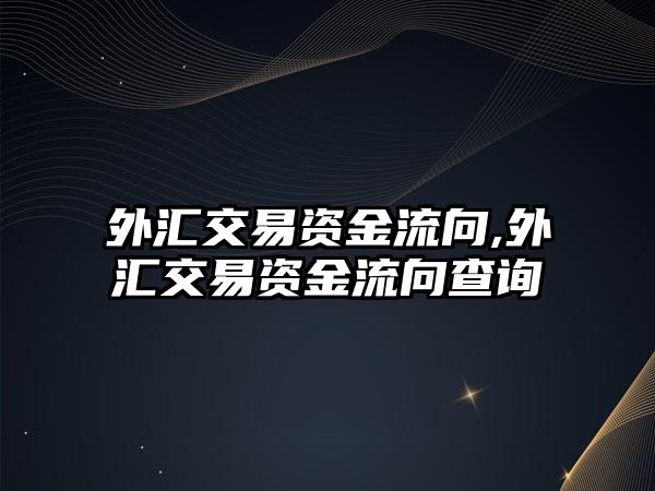 外匯交易資金流向,外匯交易資金流向查詢