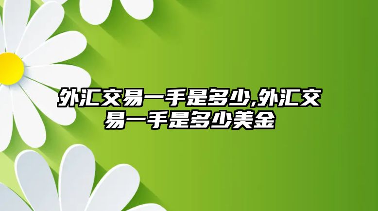 外匯交易一手是多少,外匯交易一手是多少美金