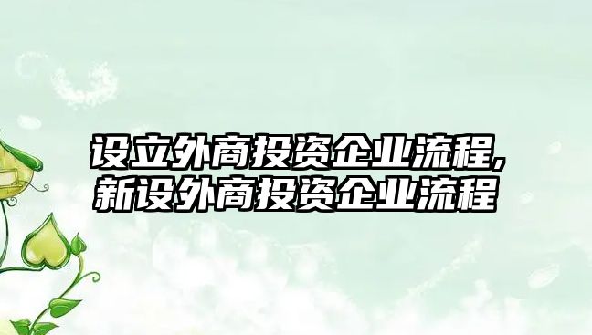 設(shè)立外商投資企業(yè)流程,新設(shè)外商投資企業(yè)流程