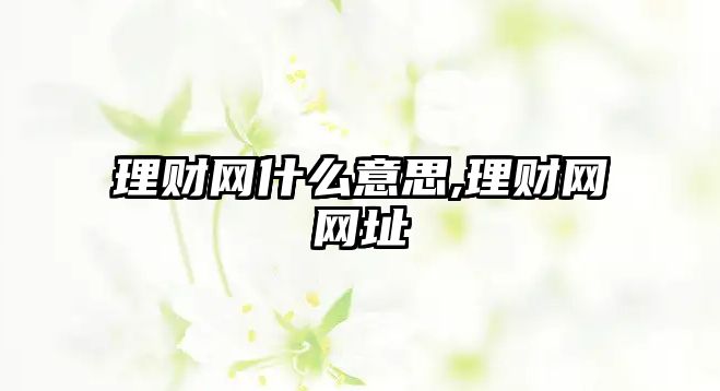 理財(cái)網(wǎng)什么意思,理財(cái)網(wǎng)網(wǎng)址