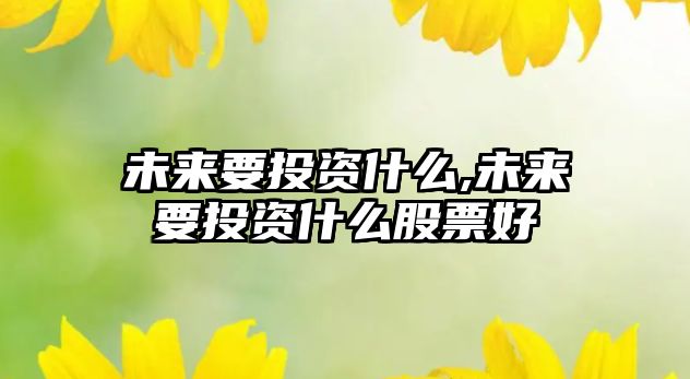 未來要投資什么,未來要投資什么股票好