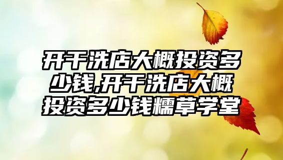 開干洗店大概投資多少錢,開干洗店大概投資多少錢糯草學(xué)堂