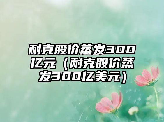 耐克股價蒸發(fā)300億元（耐克股價蒸發(fā)300億美元）