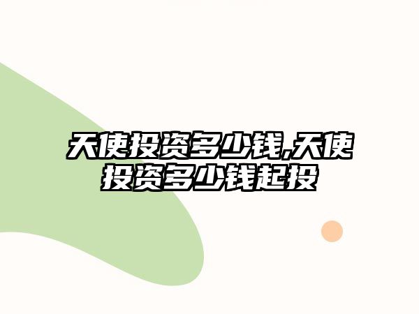 天使投資多少錢,天使投資多少錢起投