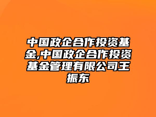 中國政企合作投資基金,中國政企合作投資基金管理有限公司王振東