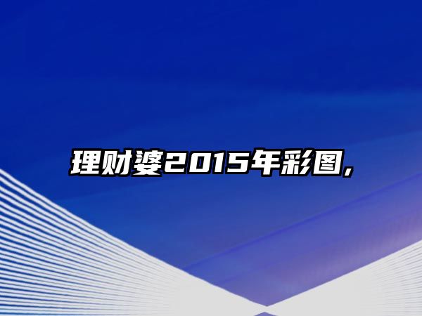 理財婆2015年彩圖,