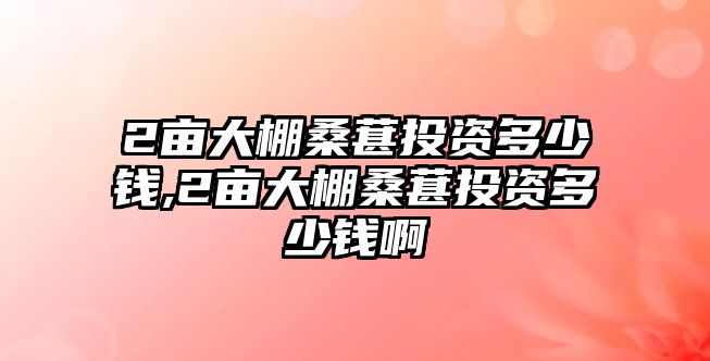 2畝大棚桑葚投資多少錢,2畝大棚桑葚投資多少錢啊