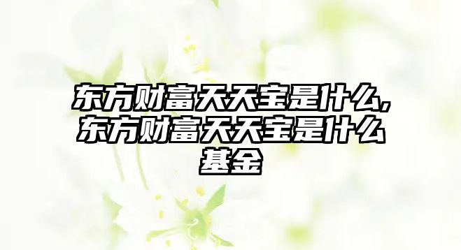 東方財富天天寶是什么,東方財富天天寶是什么基金