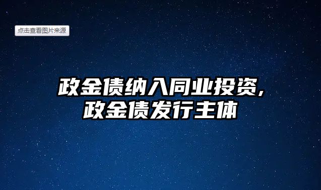 政金債納入同業(yè)投資,政金債發(fā)行主體