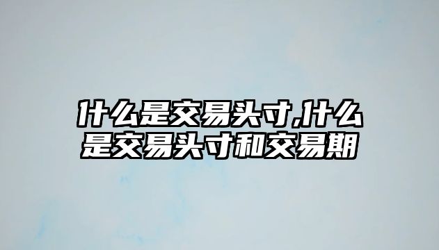 什么是交易頭寸,什么是交易頭寸和交易期