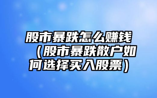 股市暴跌怎么賺錢(qián)（股市暴跌散戶如何選擇買(mǎi)入股票）