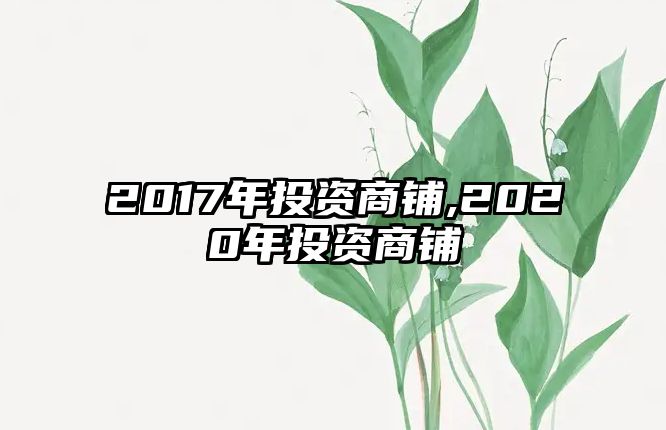 2017年投資商鋪,2020年投資商鋪