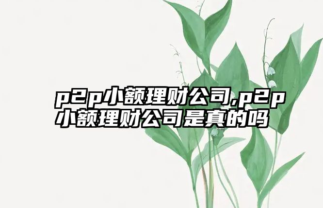 p2p小額理財(cái)公司,p2p小額理財(cái)公司是真的嗎