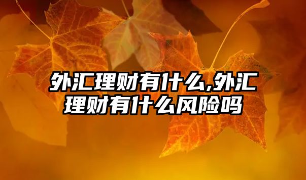 外匯理財有什么,外匯理財有什么風險嗎