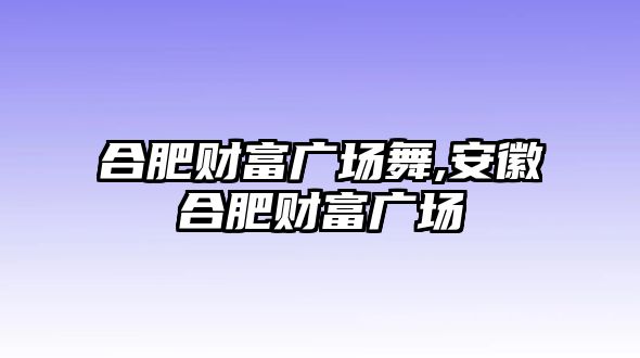 合肥財(cái)富廣場舞,安徽合肥財(cái)富廣場